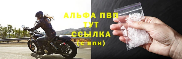 ГАЛЛЮЦИНОГЕННЫЕ ГРИБЫ Чегем