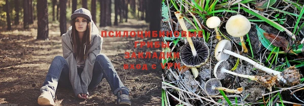 спиды Алексин