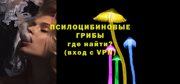 спиды Алексин