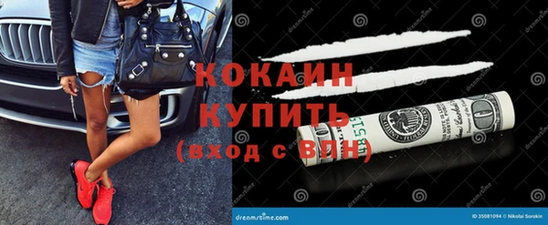 тгк Алзамай