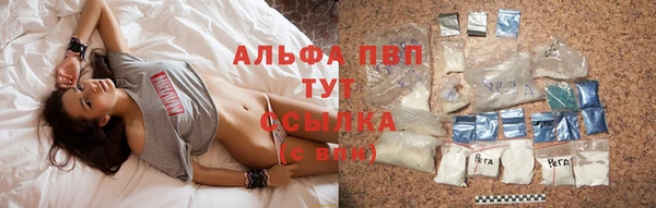тгк Надым