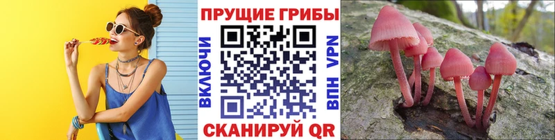 Галлюциногенные грибы прущие грибы  что такое наркотик  Сосновый Бор 
