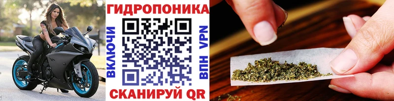 наркотики  мориарти как зайти  Шишки марихуана SATIVA & INDICA  Сосновый Бор 